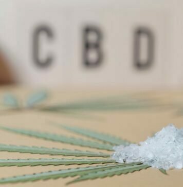 Why You Need CBD Education Before CBD Purchase? CBD