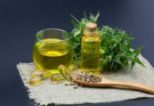 Does Hemp Oil Contain CBD? These 5 Tips Will Help You Answer Hemp oil