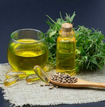 Does Hemp Oil Contain CBD? These 5 Tips Will Help You Answer Hemp oil