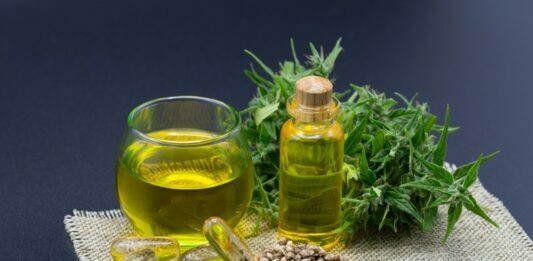 Does Hemp Oil Contain CBD? These 5 Tips Will Help You Answer Hemp oil