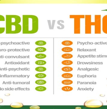 Understanding the Symbiosis of CBD and THC CBD and THC