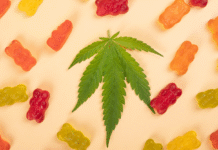 Best Delta 8 Gummies for Beginners: What to Look For Delta 8 Gummies