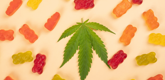 Best Delta 8 Gummies for Beginners: What to Look For Delta 8 Gummies